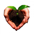 Seeds of Wellness